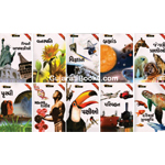 Top 10 Mohita Manjasa Series